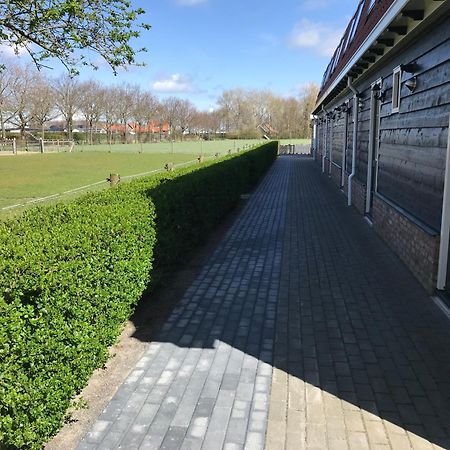 Vakantiewoningen De Schelp Renesse Exterior foto