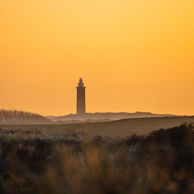 Vakantiewoningen De Schelp Renesse Exterior foto